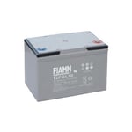 Batterie Hermétique Au Plomb 12V 70Ah FIAMM 12FGL70