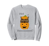 Halloween Pumpkin Peek-a-Boo: Cat’s Spooky Quest Sweatshirt