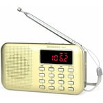 Poste Radio Portable, Radio fm am Piles et Secteur, MP3, Enceinte, Support tf Card/USB, Torch, Convient pour la Survive, Salle de Bain, Voyage et