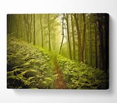Green Forest Path Canvas Print Wall Art - Double XL 40 x 56 Inches