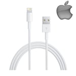 Apple Lightning cordon d'alimentation chargeur USB iPad Pro iPhone X SE 8 8+ Plus 10