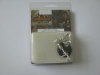 IRON KINGDOMS MAGUS DAMIEN SPERLING - CYGNARAN WARCASTER PIP81014 , See Pics.