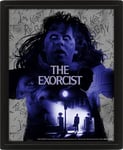 Pan Vision The Exorcist 3D-plakat (Exorcism)