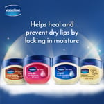 Vaseline Lip Therapy Cocoa Butter, Baume à Lèvres Nourrissant, Lot de 2 (2 x 7g)