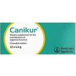 Canikur Anti-diarrheoal Tablets (4.4g) For Dogs » Pack Of 12