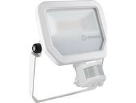 Projektør Floodlight Performance Sensor 2400Lm 20W 840 Ip65 Hvid