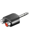 Pro Audio adapter 2xRCA F - Jack m