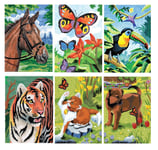 6 X A5 Colour Pencil By Numbers Kits Tiger Horse Butterfly Dog Cat Toucan Bird