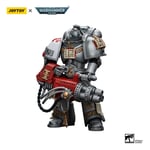 JoyToy Space marines - Grey Knights - Strike Squad Grey Knight with Psilencer 1/