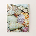 CICIDI Various Sea Shells Jigsaw Puzzle 1000 Pieces for Adult, Entertainment DIY Toys for Graet Gift Home Decor