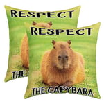 Capybara Taies d'oreiller 60x60cm Cute Capybara Relaxant sur l'herbe Lot De 2 Housses de Coussin Taie Oreiller pour Le Salon Housse Coussin Cute Pet Rodent Animaux Taie Oreiller pour canapé Chaise