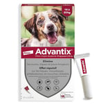 Advantix Chien Moyen entre 10 et 25 kg – Pipettes pour chien contre 6 parasites – Traitement et protection pour votre chien pendant 4 semaines – 4 x 2,5 ml