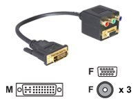 Delock - Vga-Adapter - Dvi-I (Hane) Till Hd-15 (Vga), Rca (Hona) - 20 Cm