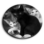 Round MDF Magnets - BW - Cute Kittens Black Tabby Ginger Cat #43908