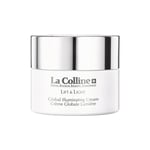 CRÈME GLOBALE LUMIÈRE SOIN LUMIÈRE LIFTANT POT 50ML - CRÈME GLOBALE LUMIÈRE SOIN LUMIÈRE LIFTANT POT 50ML