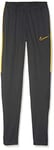 NIKE Men M NK DRY ACDMY KPZ Pants - Anthracite/Opti Yellow, X-Large