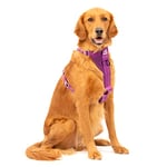 Kurgo Dog Harness, Purple, XL