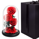 Preserved Real Rose in Gift Box for Delivery Forever Enchanted Flower in Glass Dome for Crafts Handmade Romantic Present for Mom Women Wife Girlfriend Mothers Day Valentine Birthday Anniversary