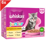 WHISKAS JUNIOR 72 Sachets fraîcheur en gelée 4 variétés pour chaton 85g (6x12)