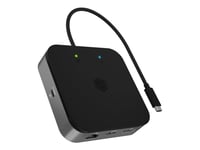 Icy Box 7-In-1 - Dokkingstasjon - Usb-C 3.2 Gen 2 / Thunderbolt 3 / Thunderbolt 4 - Hdmi, Dp - 1Gbe