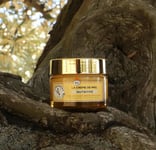 La Provençale Organic Organic Face Cream Rich Nutritive Honey Balm The 50ml Pot