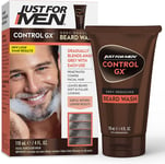 Just  for  Men  Control  Vvapd  GX ,  Grey  Reducing  Shampoo ,  4  Fluid  Ounce