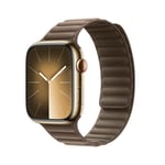 Apple 45mm Taupe Magnetic Link S/M