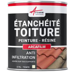 Étanchéité Toiture: Peinture ARCAFILM Produit Étanche pour Tuile et Fibrociment ARCANE INDUSTRIES Pierre de taille - 0.75L