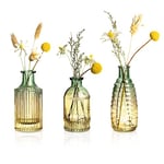 Joeyan Petit Vase en Verre Vintage Lot de 3 - Vase Bourgeon Coloré pour Soliflore Fleur - Vase Decoratif pour Bureau, Domicile, Centres de Table à Manger, Mariage Décoration