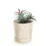 Botle Pot De Fleur Rond Creme En Plastique Beton Effect Cache Pot 23,1 Cm Decoratif Bac A Plantes Avec Soucoupe Fleurs