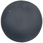 Leitz - Siège Ballon Ergonomique pour Bureau, 65 cm de Diamètre, avec Housse en Tissu / Balle d'Assise / Pompe à Air Manuelle / 2 Bouchons, Gamme Ergo Cosy, Gris, 52790089