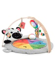 Baby Einstein Plush Gym Zen's Activity Milestones™