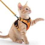 rabbitgoo Harnais Chat Anti évasion avec Laisse Orange XXS, Harnais Chaton Petit Chien Réglable, Collier Harnais et Laisses pour Chat Refléchissant Attache Dessus Gilet Respirant pour Lapin Chiot