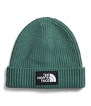 THE NORTH FACE Unisex Kid's Box Logo Newspaper Cap, Dark Sage, Standard Size