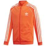 Veste enfant adidas  SUPERSTAR