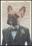 Fawn Frenchie Print Vintage Dictionary Wall Art Picture Dog Suit French Bulldog
