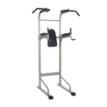 BZLLW Power Tower Multi-Grip Pull Up & Dip Station Home Gym