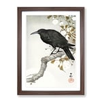 A Crow On The Blossom Tree By Ohara Koson Asian Japanese Framed Wall Art Print, Ready to Hang Picture for Living Room Bedroom Home Office Décor, Walnut A2 (64 x 46 cm)