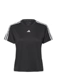 Adidas Performance Aeroready Train Essentials 3-Stripes T-Shirt Svart