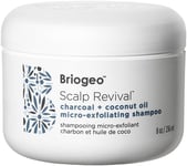 Briogeo Scalp Revival Exfoliator Charcoal Shampoo, Treatment for Dry & Itchy for