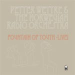 Petter Wettre &amp; The Norwegian Radio Orchestra  Fountain Of Youth  Live!  CD