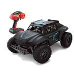 Radiostyrd Off-Road Bil / Truck - Svart - 30cm Svart