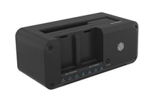 ICY BOX IB-2924MSCL-C31 - HDD/SSD dockingstation - klonfunktion - M.2 NVMe Card / SATA 6Gb/s - USB 3.2 (Gen 2)