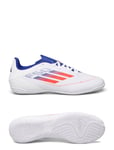 Adidas Performance F50 Club Football Boots Indoor Vit