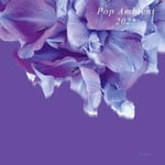 Diverse Artister  Pop Ambient 2025  LP/Vinyl