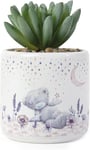 Me to You Tatty Teddy Artificial Succulent in Moon and Stars Plant Pot - Offici