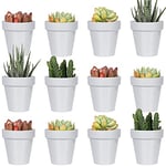 Youngever Lot de 24 Mini Pots de Fleurs en Plastique de 5 cm, Pots de Fleurs d'intérieur Gris avec Drainage, Plante Non Incluse (Classique)