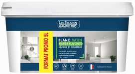 PEINTURE QUALITE PRO DECORATION MONOCOUCHE MURS PLAFONDS BLANC SATIN 5L = 50 M²