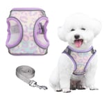 PawSailor Extra Small Dog Harness with Leash Set, Step-in Air Mesh Floral Print No Pull Vest Harness, Adjustable Reflective Soft Padded Escape Proof Pet Harness Lavender XXXS