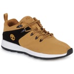 Timberland Sneakers SPRINT TREKR LOW KNIT Brun herr